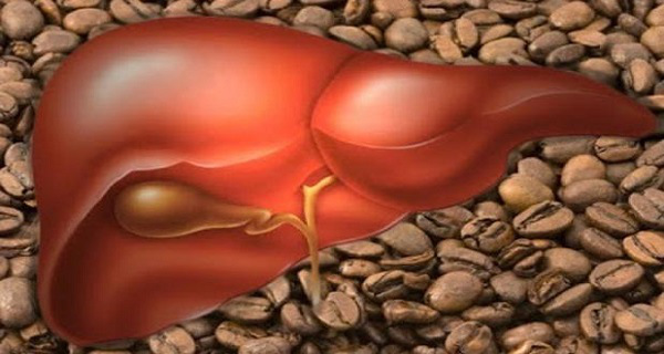 coffe-and-liver