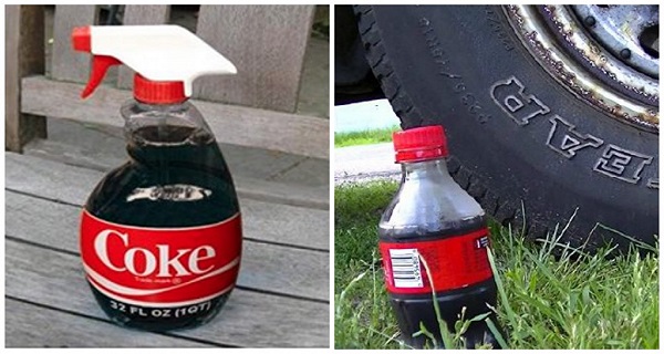 20-practical-uses-for-coca-cola-proof-that-coke-does-not-belong-in-the-human-body