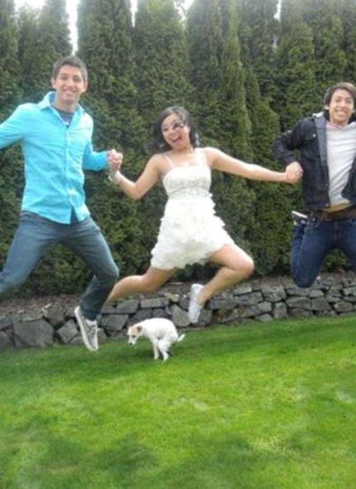 perfectly-timed-dog-photo-jump