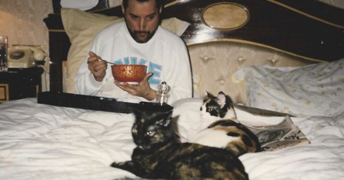20 photos de Freddie Mercury et ses chats, qu'il aimait et traitait comme ses propres enfants