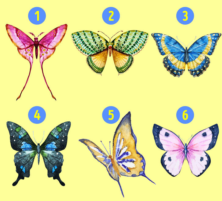 Le papillon que vous choisissez peut révéler les côtés cachés de votre personnalité