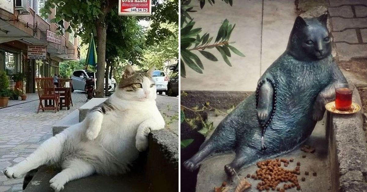 Le chat le plus célèbre d'Istanbul est honoré d'une statue