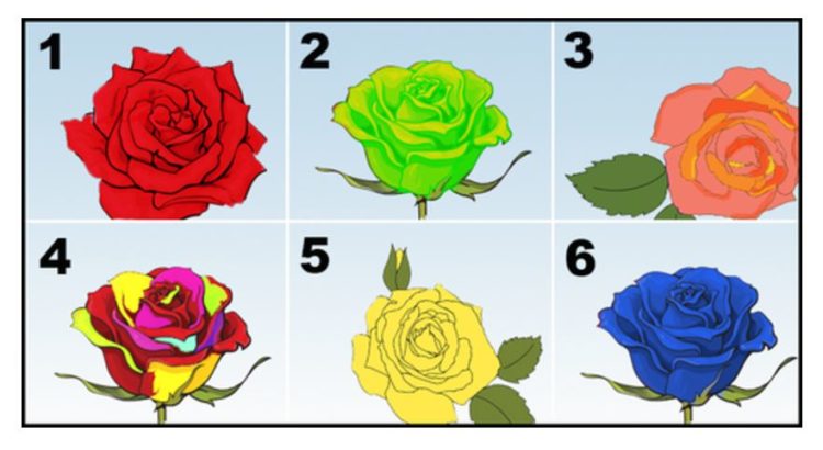 Choisissez la plus belle rose et découvrez les secrets de votre personnalité