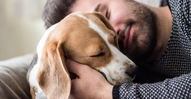Les gens aiment vraiment les chiens plus que les autres humains, selon une nouvelle étude