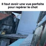 chat 1