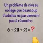 probleme