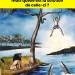 casse tete 3