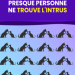 Trouvez l’intrus et boostez votre cerveau chaque jour intrus